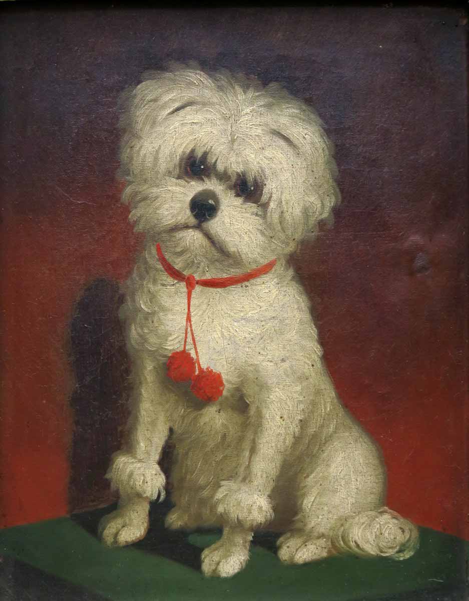 Karel Purkyně /napodobitel/ - Psík