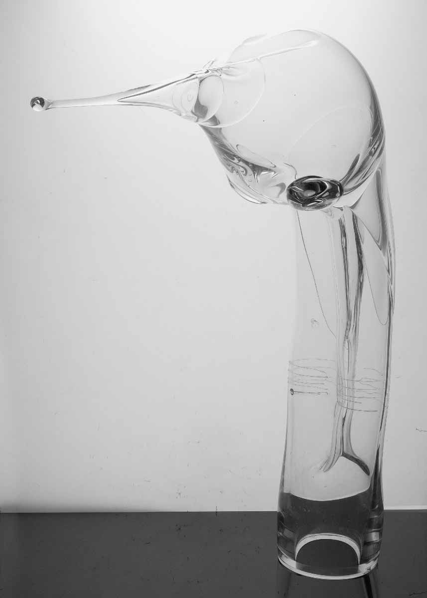 Jiří Šuhájek (1943) | Pták