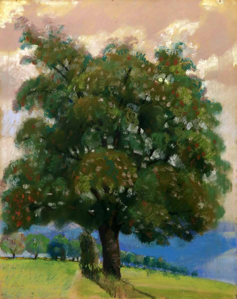 Aois Bílek (1887 - 1961) - Rozkvetlý strom