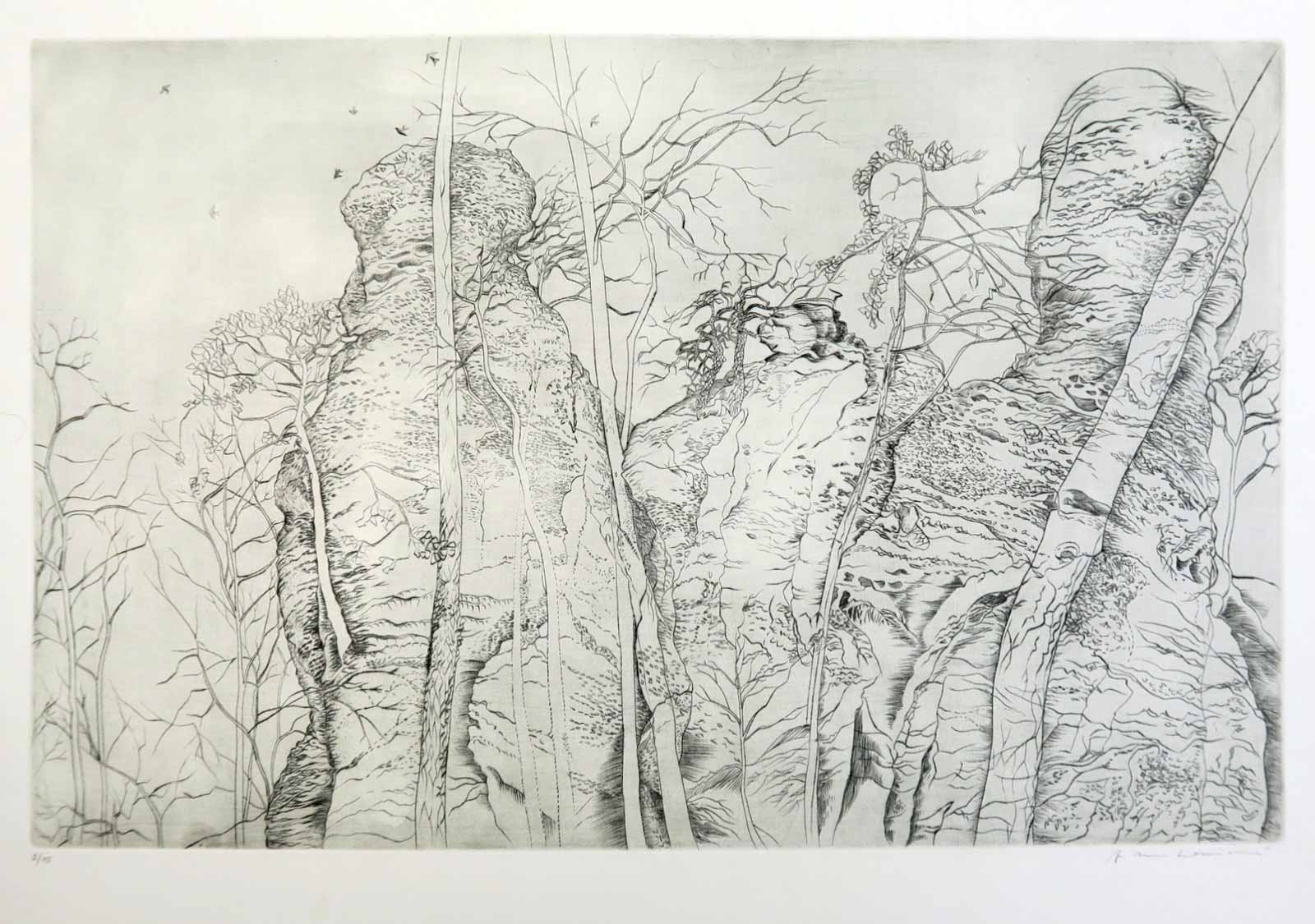 Vlasta Matoušová (1955) - Skály v Sedmihorkách