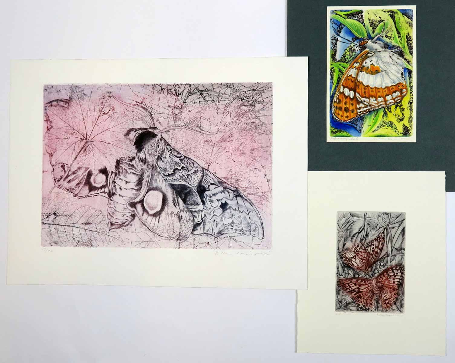 Vlasta Matoušová (1955) - 3 listy - Zubokřídlec paví oko, Belopásek, Perleťovci