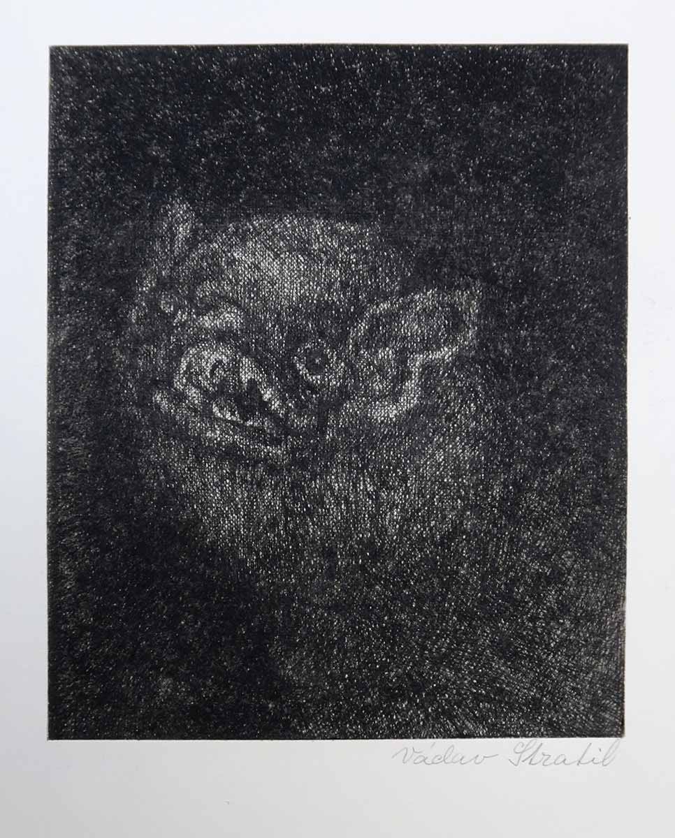 Václav Stratil (1950) - Netopýr