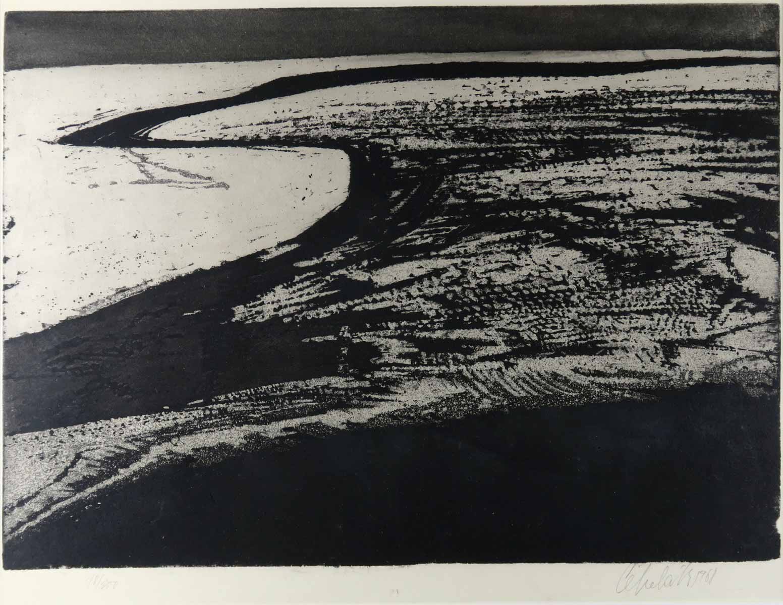 Ladislav Čepelák - Pole