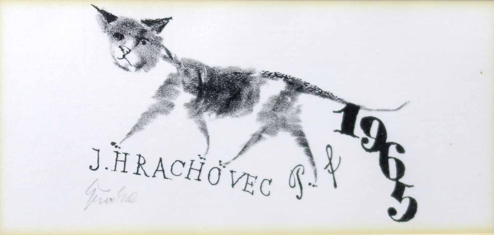 Jiří Trnka - PF 1965 J. Hrachovec