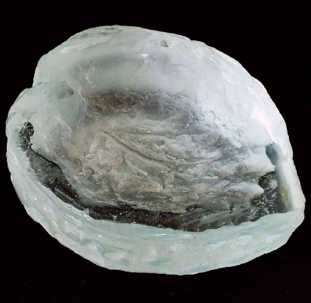 Jiří Ryba - Oříšek