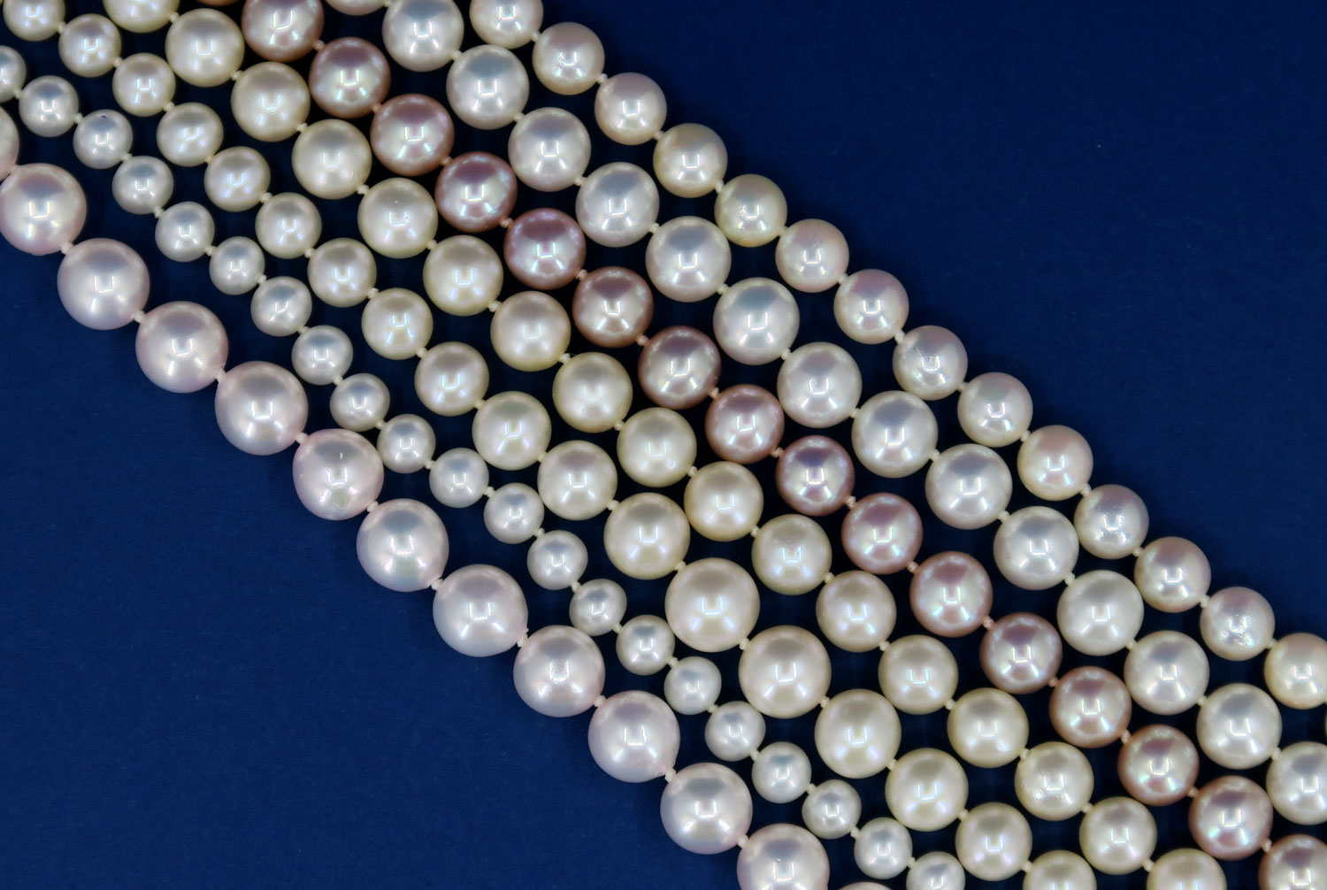 Exponát října - Perla - Královna šperku
